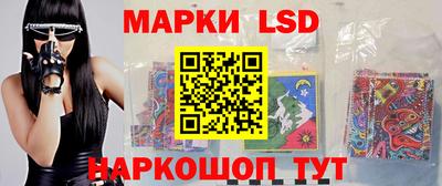 apvp Гатчина