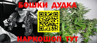 apvp Гатчина