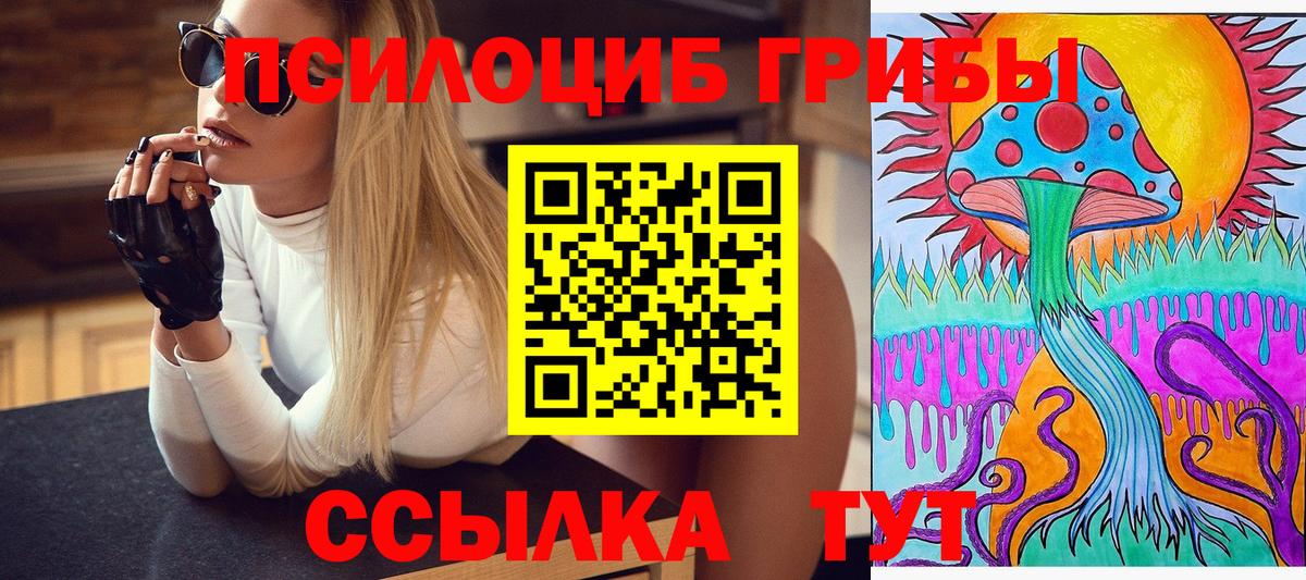 Галлюциногенные грибы Cubensis  Зеленодольск 