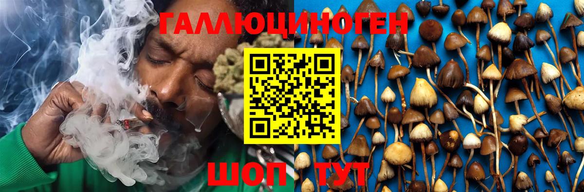 Псилоцибиновые грибы Psilocybine cubensis  Галлюциногенные грибы Magic Shrooms  купить наркотик  Вход с VPN  Зеленодольск 